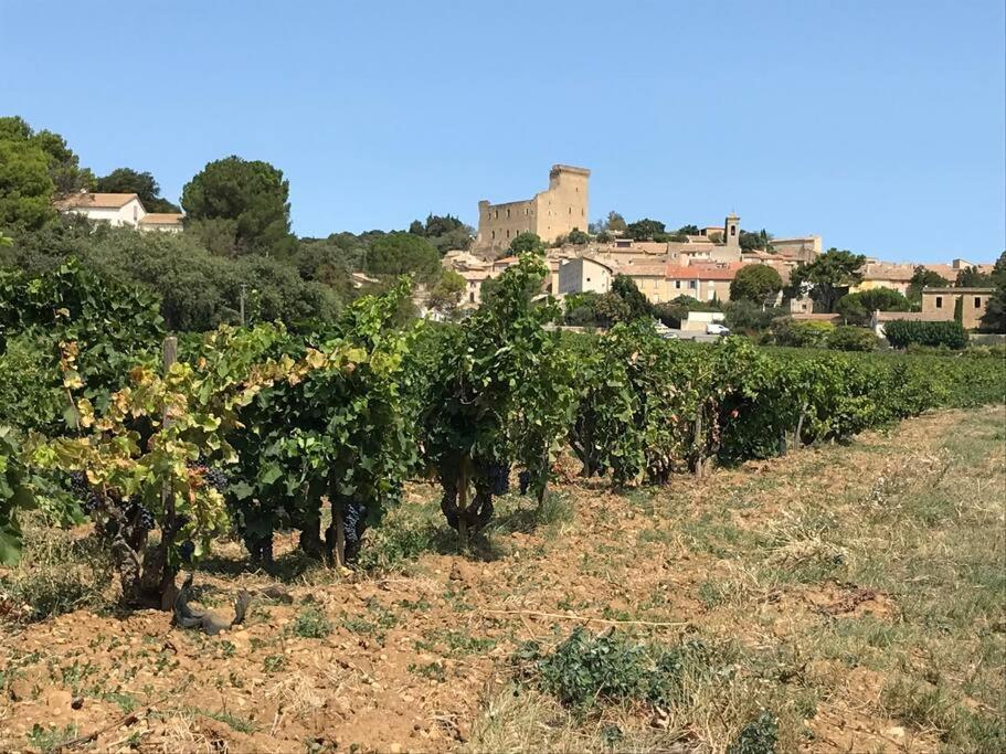 Gites En B&B Le Clos De La Cerise Châteauneuf-du-Pape المظهر الخارجي الصورة